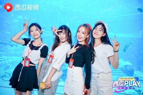 三亚网红爆料视频最新,揭秘隐藏版网红打卡地！